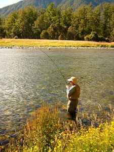 dry fly fishing